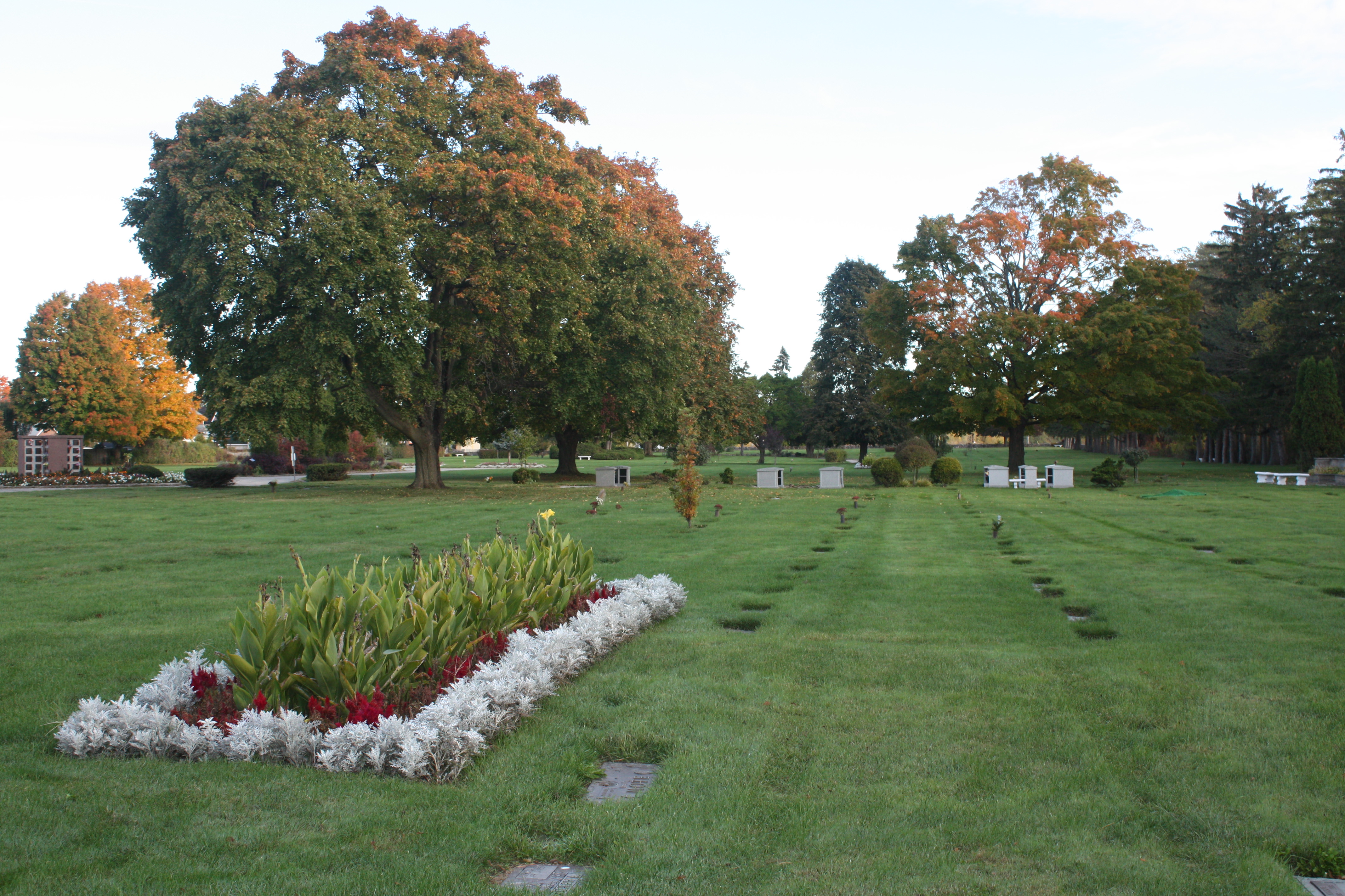More fantastic green burial plots.